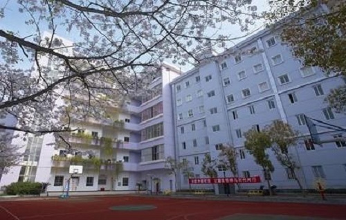 1618210498218945.jpg 湖北艺术职业学院.jpg