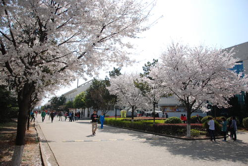 1618216568530969.jpg 武汉信息传播职业技术学院.jpg